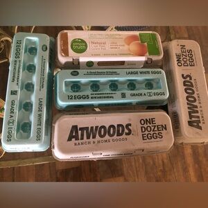 5 egg cartons for crafts, EMPTY